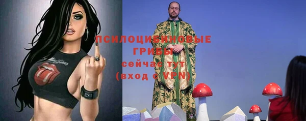 круглые Бронницы