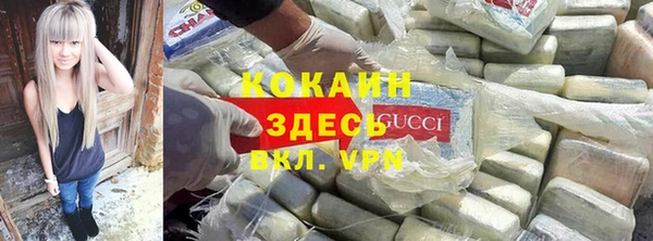 Альфа ПВП Бородино