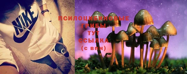 Альфа ПВП Бородино