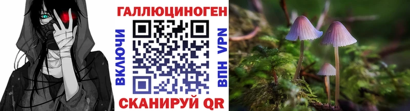 Галлюциногенные грибы Psilocybine cubensis  Мелеуз 